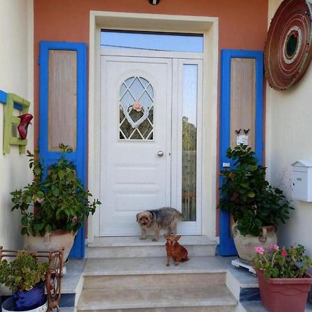 Bed and Breakfast Stanza Privata Casa Artistica Mariola San Sperate Exterior foto